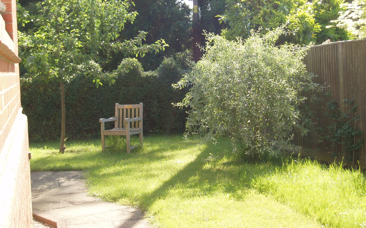 View of garden